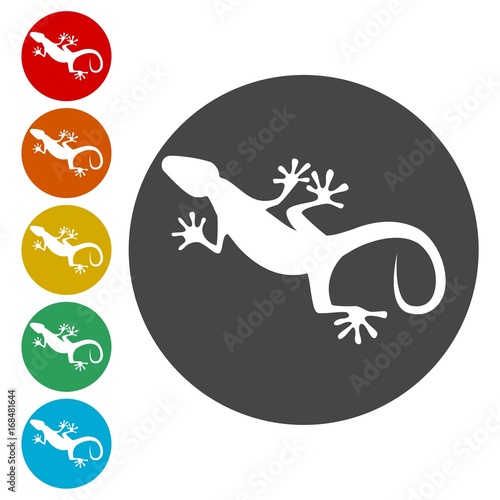 Lizard icons set vector - Illustration 