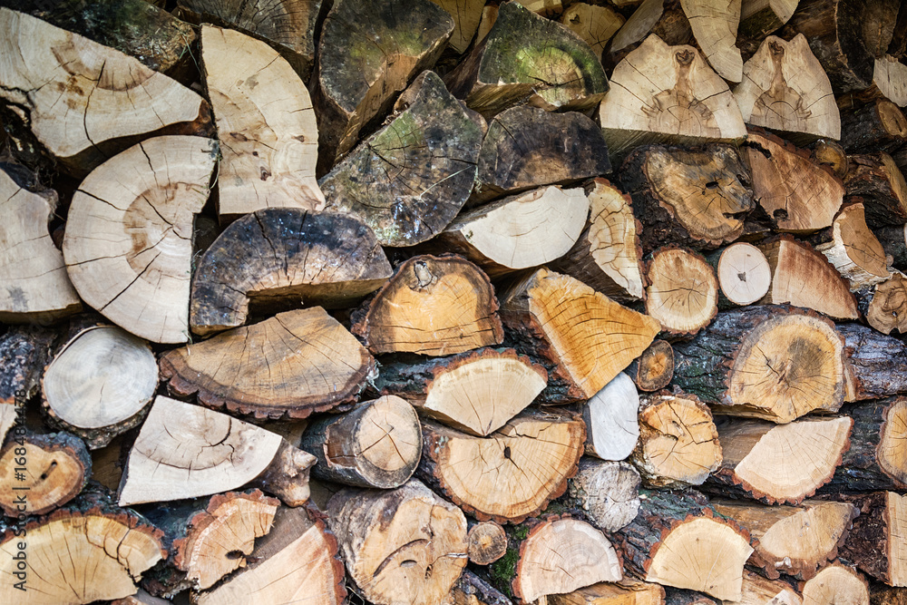Fototapeta premium Vintage toned pile of logs