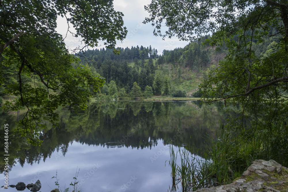 Fototapeta premium Am Nonnenmattweiher