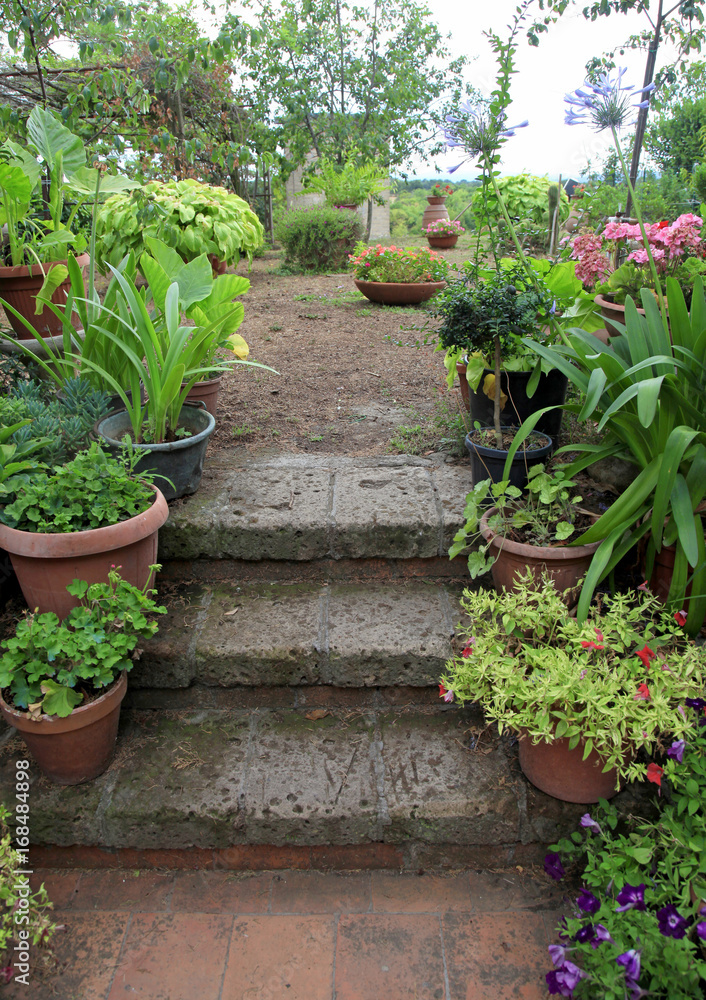 Old stone steps in small italian garden, decorated by flower pots