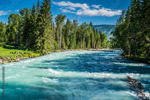 Fast water stream in mountain river with coniferous forest, Altai republic, Siberia, Russia