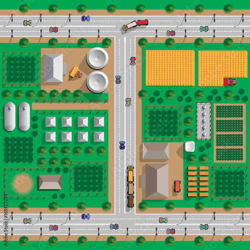Agricultural farm. View from above. Vector illustration.