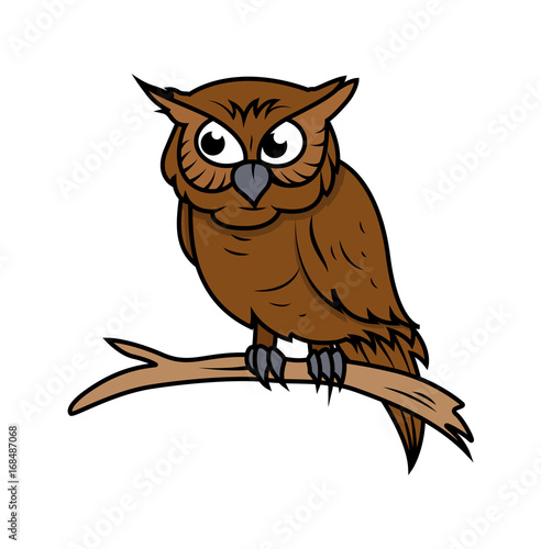 Owl Vector clipart