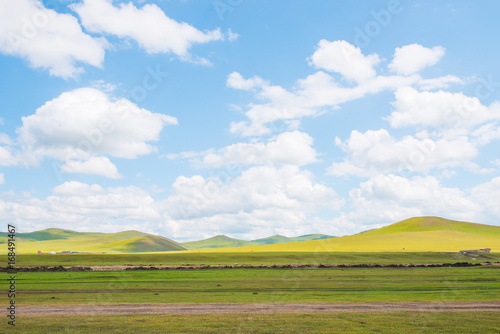 meadow under blue sky in Inner Mongolia Prairie