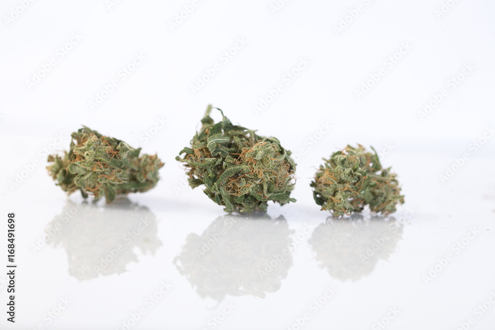 marijuana cannabismarijuana and cannabis. legal drug marijuana cannabismarijuana and cannabis. legal drug