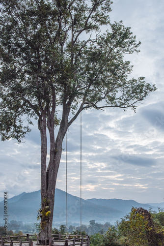 tree swing of Pai in sunrise