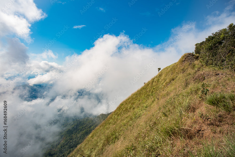 Beautiful and mystical green fog valley background. Paradise in valley view. Beautiful and mystical green fog valley background. Paradise in valley view.