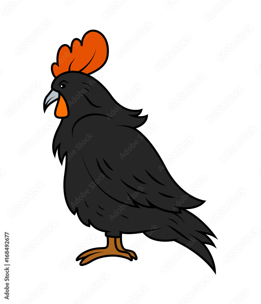 Fototapeta premium Rooster Vector Illustration