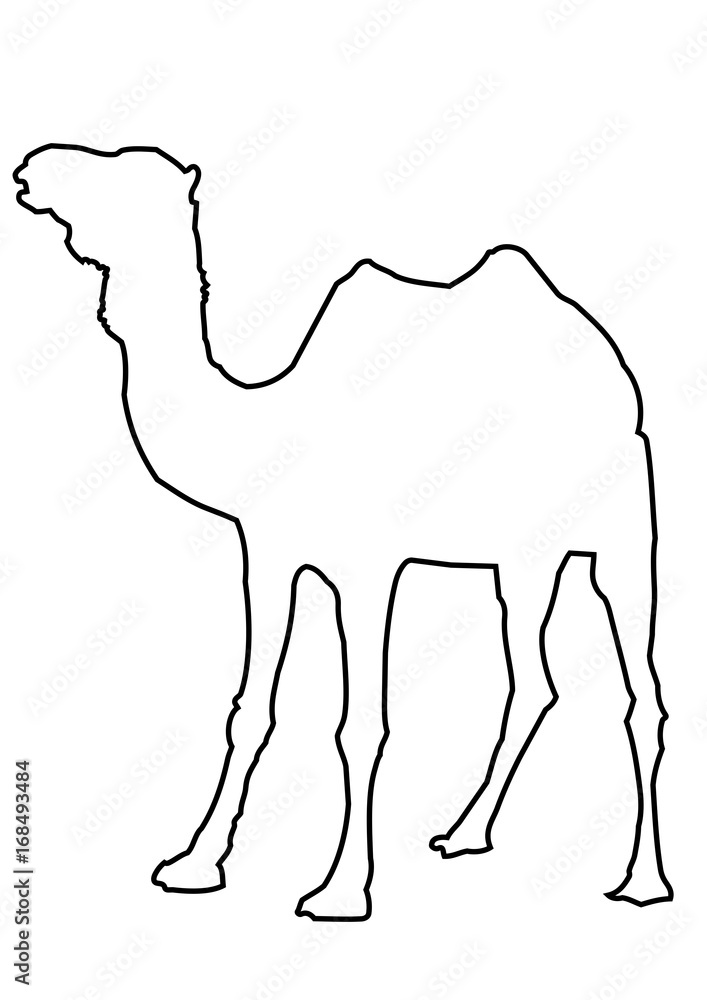 Camel Outline Picture Stock Illustration | Adobe Stock