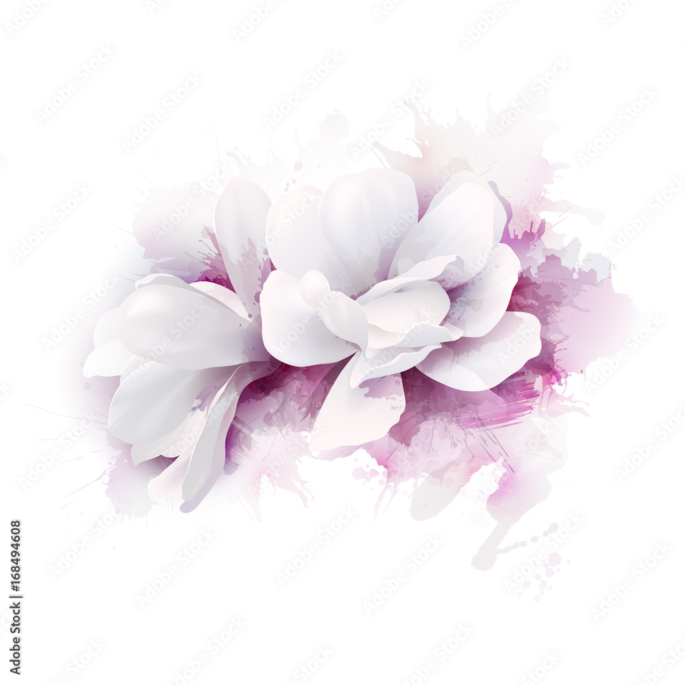 Naklejka premium Illustration of two white beautiful Magnolias, Spring elegant flowers depicted on the watercolor lilac background.