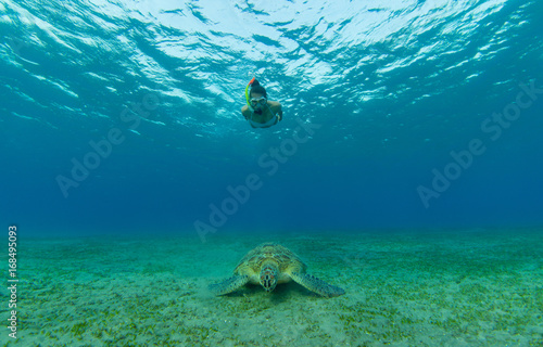 Fototapeta Naklejka Na Ścianę i Meble -  Snorkeling woman with hawksbill turtle, underwater photography.