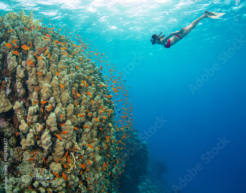 Snorkeling woman exploring beautiful ocean sealife, underwater photography.