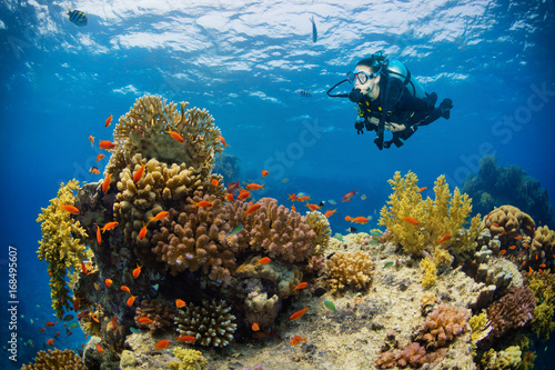 Underwater coral reef with woman scuba diver exploring sea bottom