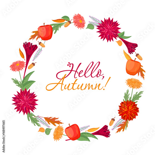 Graphic set - color autumn round frame with flowers, plants, fruits, inscription - Hello, Autumn! Woolflower, chrysanthemum, dahlia, apple, oak leaves, acorns, vector drawing, isolated on background.