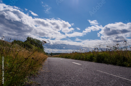 Bicycle road in nature