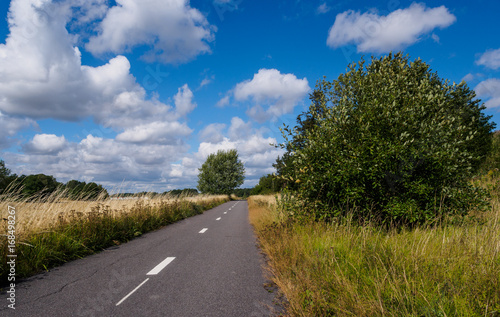 Bicycle road in nature