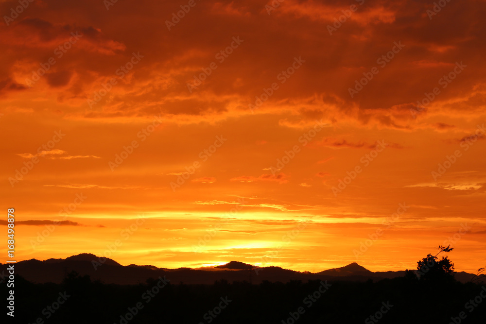 Yellow gold sky evening In tropical countries summer,Halloween day