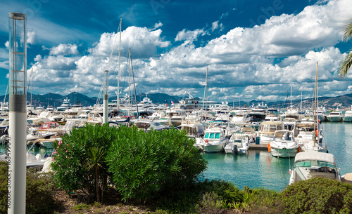 Amazing view of the city of Cannes, France, palm trees, yachts and azure sky