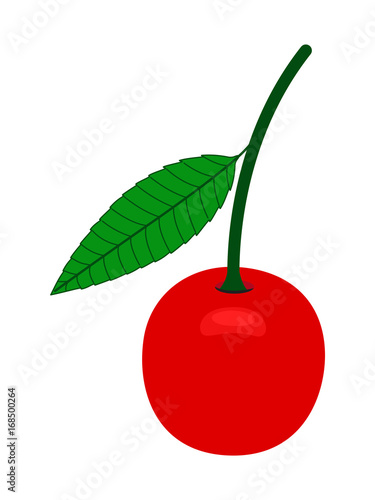 Red Cherry Vector
