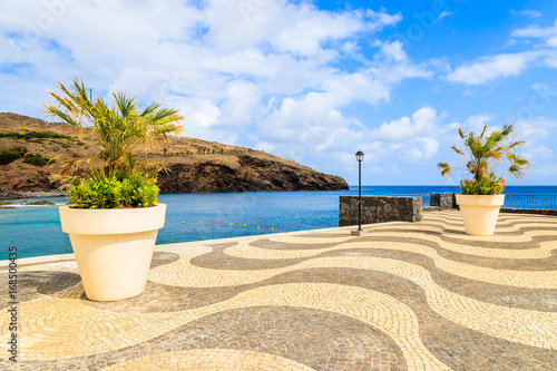 Palm trees in pots on coastal promenade along ocean near Canical town, Madeira island, Portugal © pkazmierczak