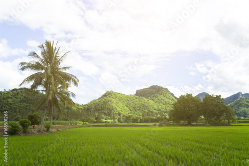 The sky is covered with orange light, covered with mountains, clouds and beautiful green trees.