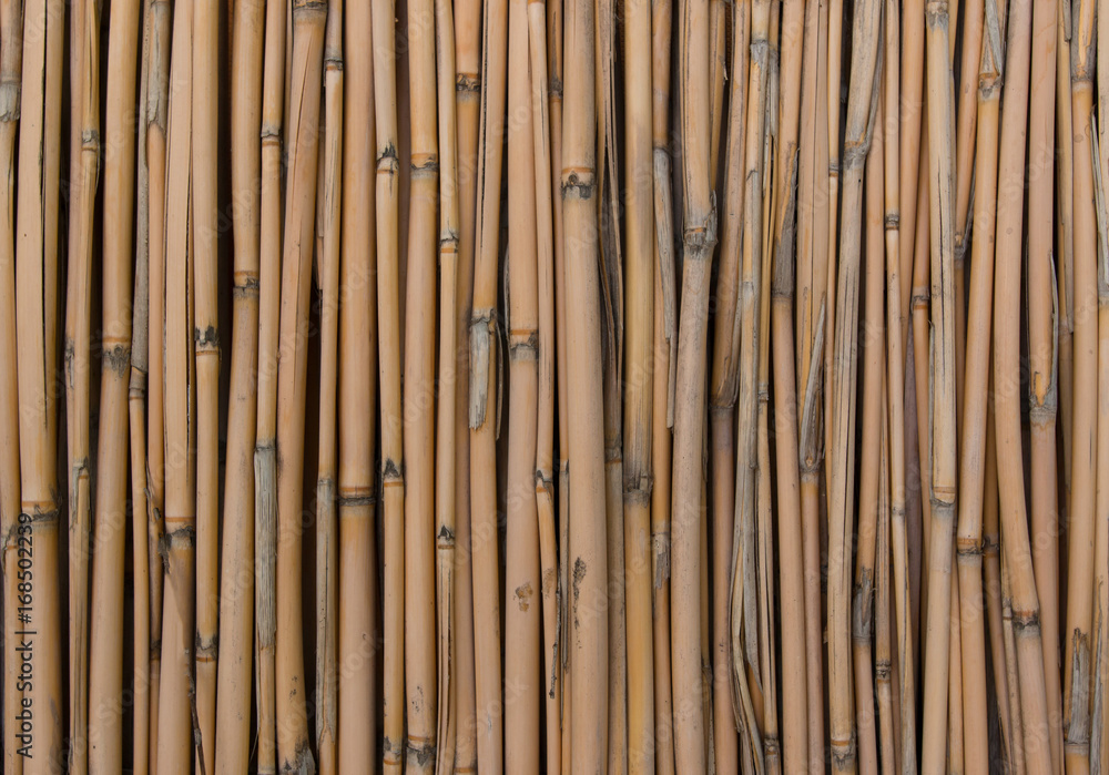 Fototapeta premium Bamboo sticks as background