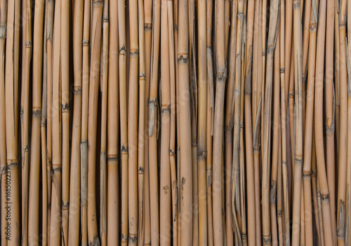 Bamboo sticks as background