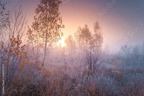 Beautiful autumn sunrise landscape with hoarfrost on the grass.