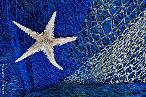 Starfish in fishing net