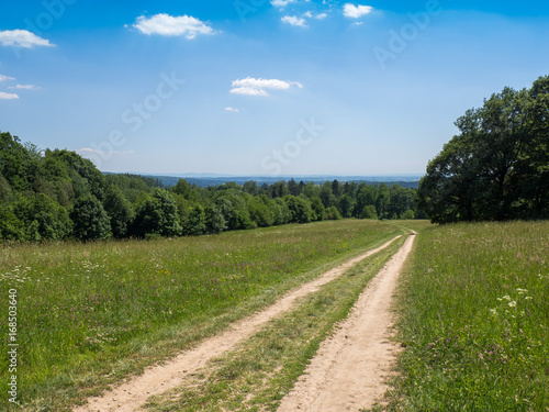 Path through the meadow, Czech republic