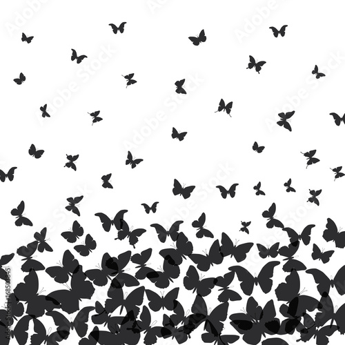 spring summer card design. banner  black butterfly on white background. Vector
