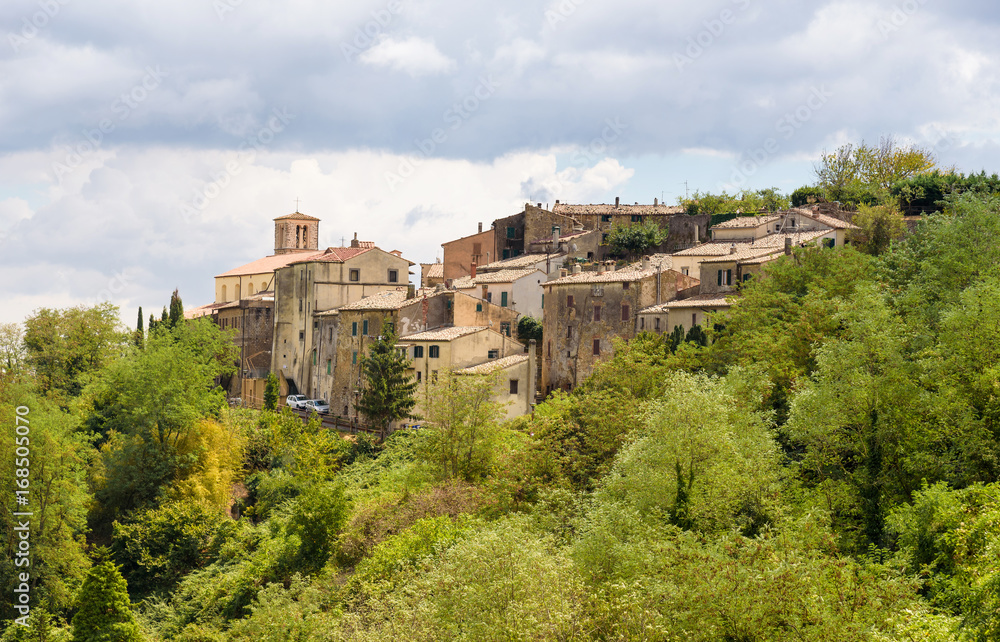 Scansano, village in the tuscan province of Grosseto, italy
