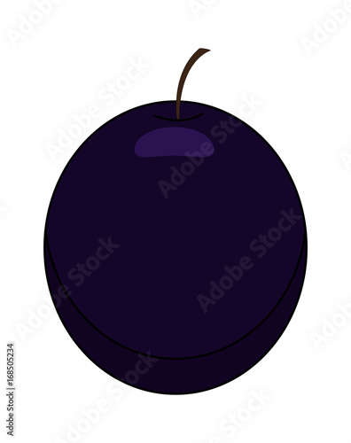 Dark Blue Grape Vector