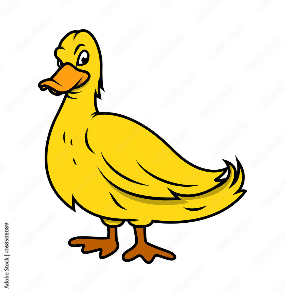 Duck Vector Duck Vector