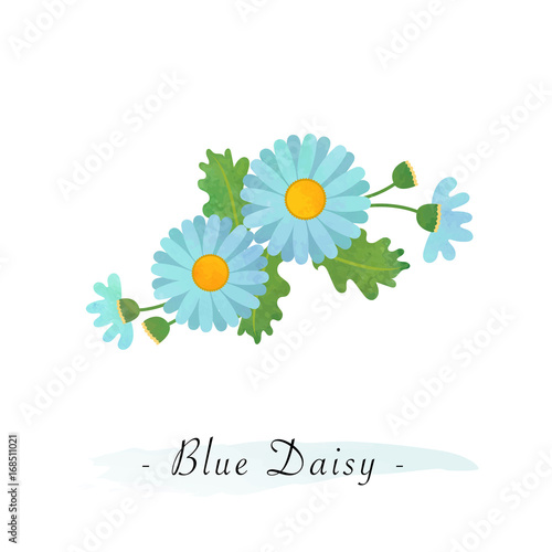 Colorful watercolor texture vector botanic garden flower asteraceae light blue daisy