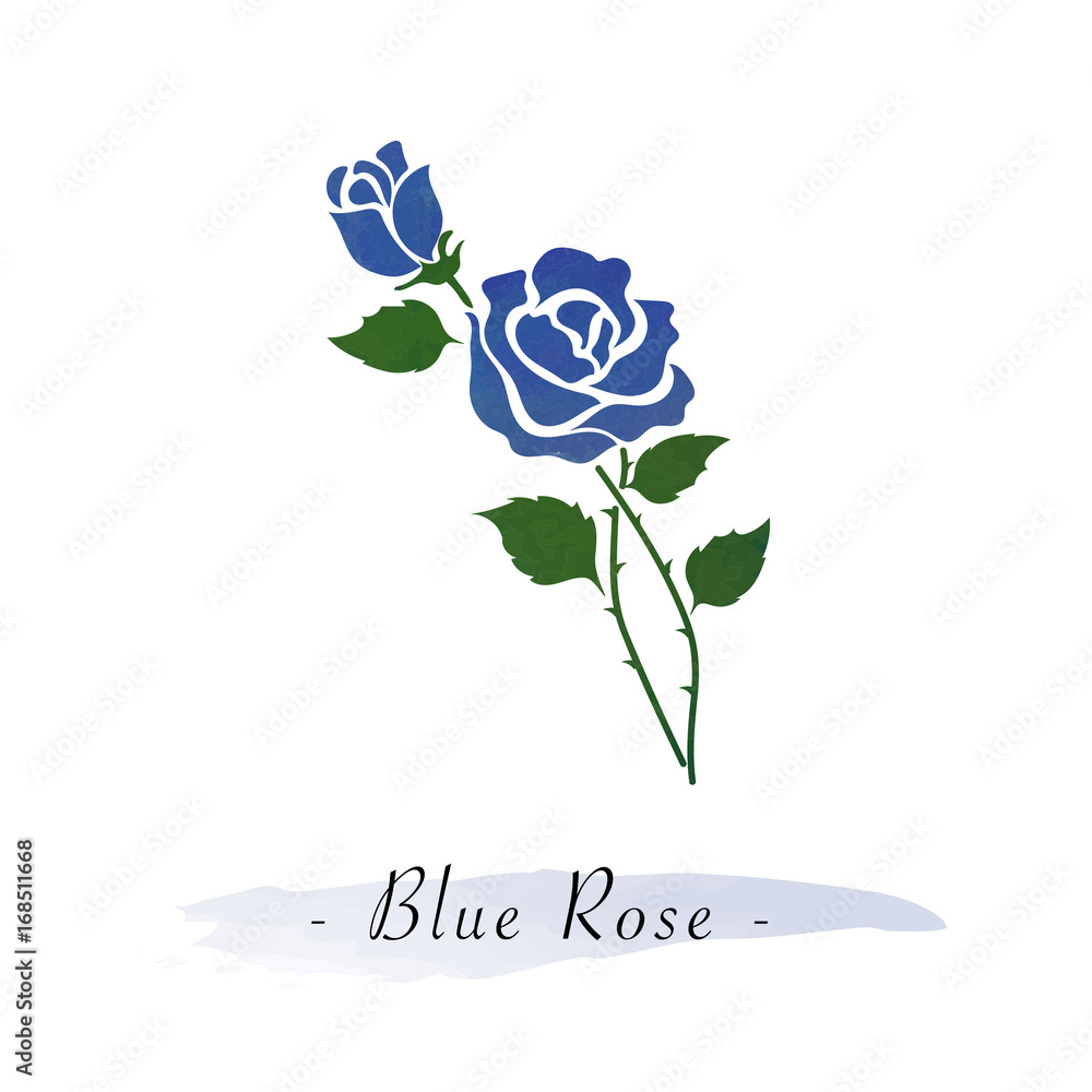 Colorful watercolor texture vector botanic garden flower blue rose - obrazy, fototapety, plakaty 