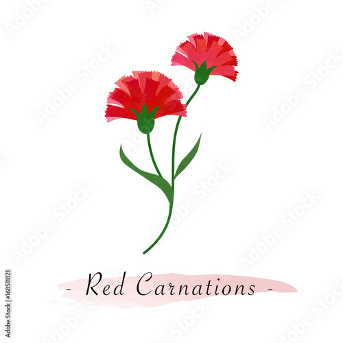Colorful watercolor texture vector botanic garden flower red carnations