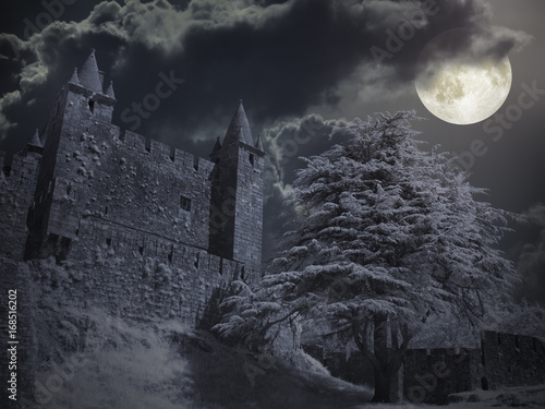 Castle in a full moon night