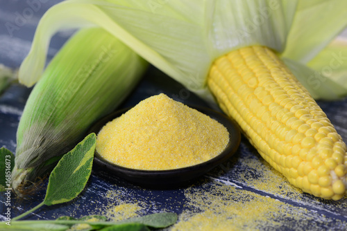 Maiskolben frisch neben Polenta in Schale und Salbei photo