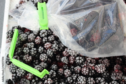 Brombeeren in Gefrierbeutel