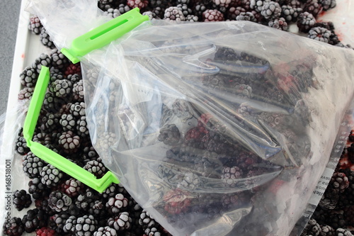 Brombeeren in Gefriertüte