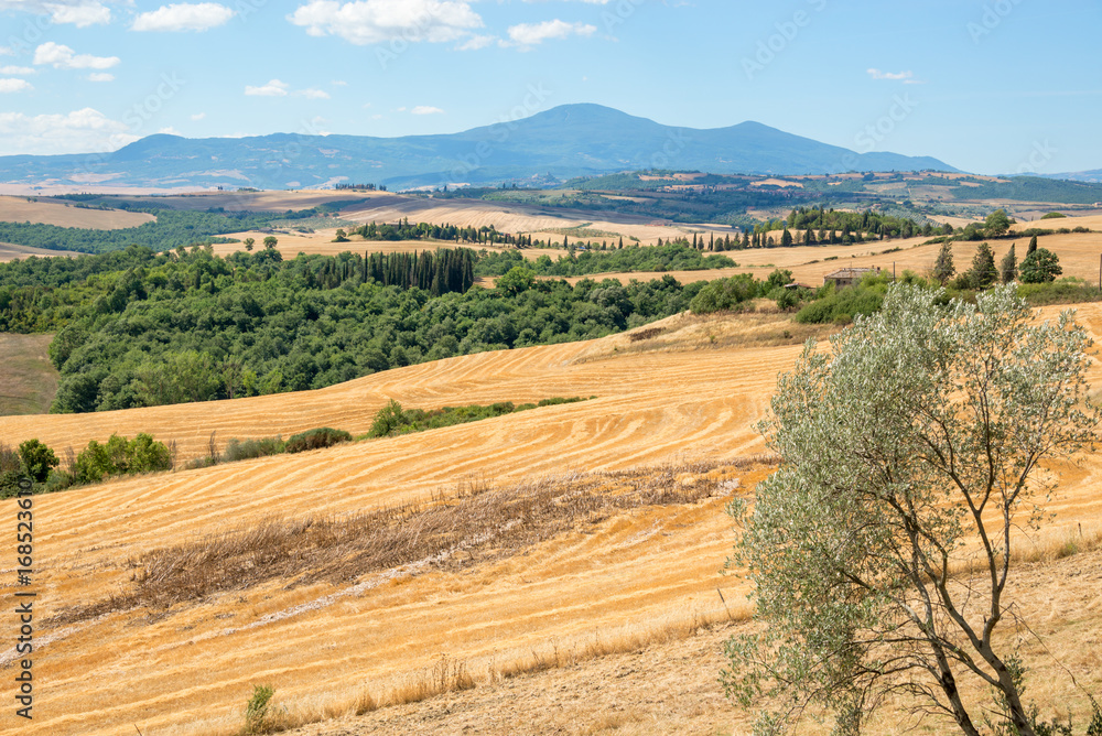 Tuscany landscape in summer, after harvest, Italy Tuscany landscape in summer, after harvest, Italy
