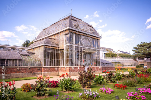 Fototapeta Naklejka Na Ścianę i Meble -  Serre du jardin des plantes, Nantes