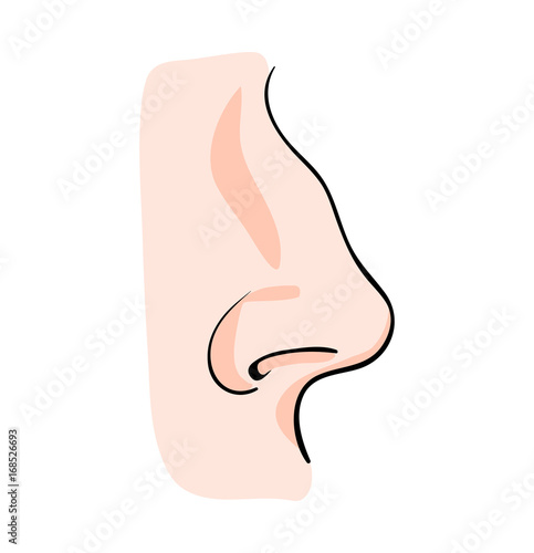 cartoon nose vector symbol icon design. Beautiful illustration isolated on white background