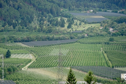 Apfel- und Weinanbau in Südtirol Berglandschaft 