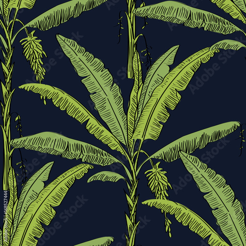 Vector drawn banana palm tree seamless pattern with leaves on blue background in a sketch style. Exotic collection.