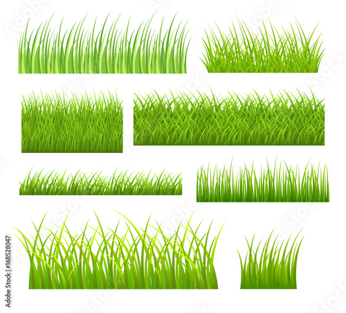 Grasslines Vector Set