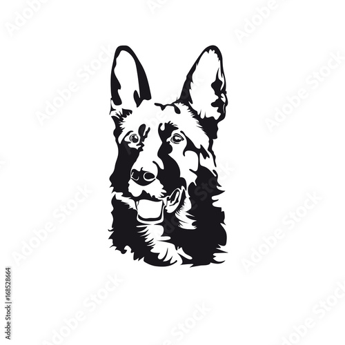 The head of a sheep dog. Black and white vector image.