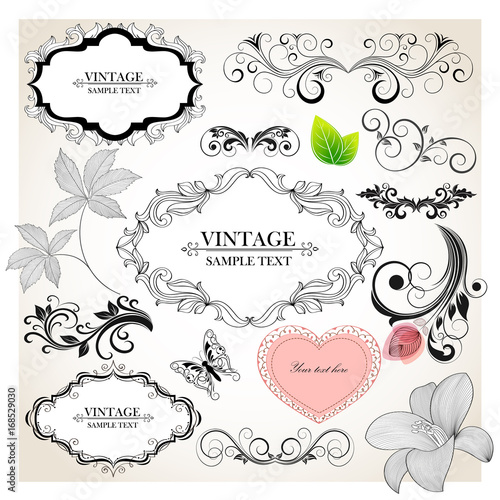 Set of hand-drawing calligraphic floral design elements. Vector illustration.