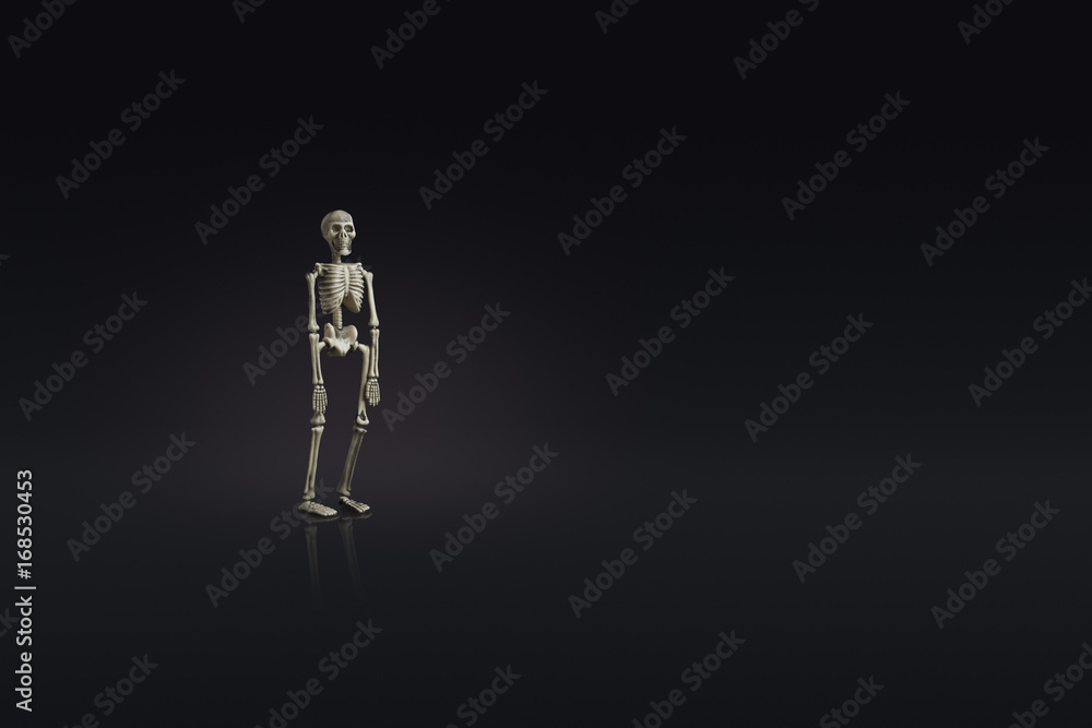 fake human full skeleton halloween concept